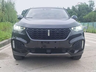 2018 WEY VV6 2.0T 2WD Super Luxury China V, фото 2, лот 10450841