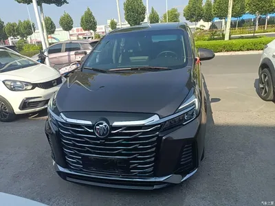 2023 Buick GL8 Model Land Business Class Smart, фото 3, лот 10258234