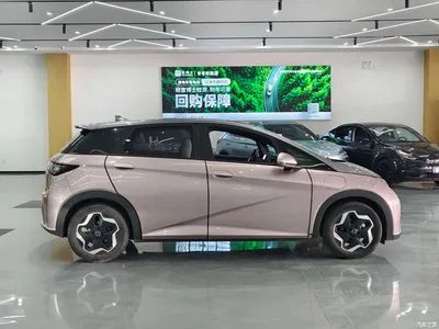 2021 BYD Dolphin 405km Freedom Edition, фото 4, лот 10255476
