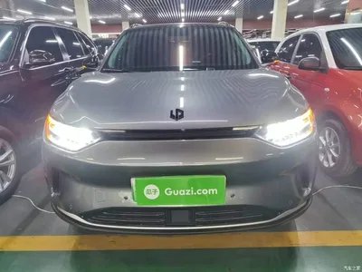 2021 Leapmotor C11 Facelift Luxury Edition, фото 3, лот 10598864