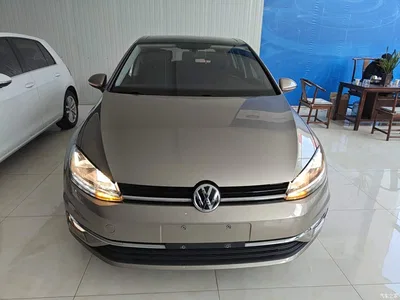 2019 Volkswagen Golf 1.6L Auto Comfort (China V), фото 3, лот 10451693