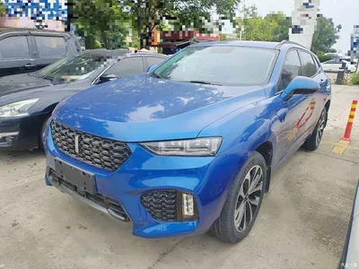 2017 WEY VV7 2.0T Luxury, фото 1, лот 10620239