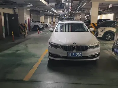 2020 BMW 5 Series 530Li Leading Luxury Package, фото 2, лот 11195511