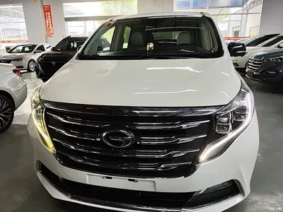 2019 GAC Trumpchi Trumpchi M8 320T Ultimate Edition, фото 3, лот 10421619