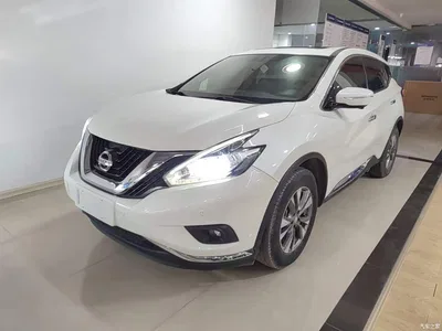 2019 Nissan Murano 2.5L XL 2WD Smart Connect Luxury (China V), фото 1, лот 10347713