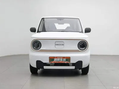 2024 Geely Galaxy Panda mini 200km Endurance Bear, фото 3, лот 10431380