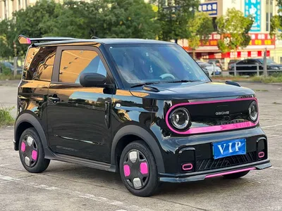 2025 Geely Galaxy Panda Model Year 210km Panda Kart, фото 3, лот 10432249