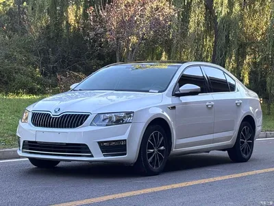 2017 Škoda Octavia 1.6L Automatic Smart Edition, фото 1, лот 11570042