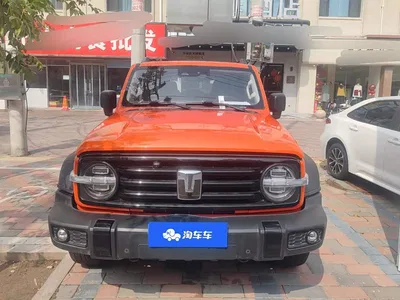 2024 Tank 300 Model 2.0T Challenger, фото 2, лот 11204547