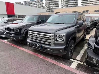 2024 Haval H9 2.0T Gasoline AWD Extreme Edition, фото 1, лот 10282640