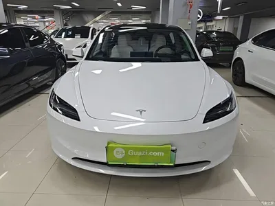 2023 Tesla Model 3 Rear-Wheel Drive, фото 3, лот 10370181
