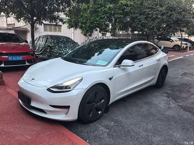 2021 Tesla Model 3 Facelift Standard Range RWD Upgrade 3D1, фото 1, лот 10694115