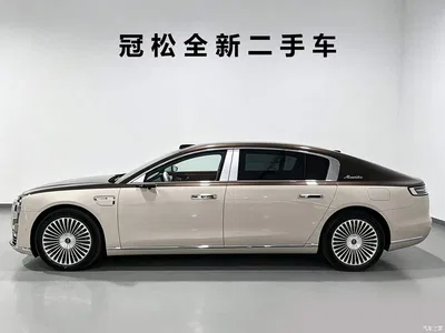 2025 Zunjie S800 Model Extended Range Starlight Executive Edition 4-seater, фото 4, лот 11249967