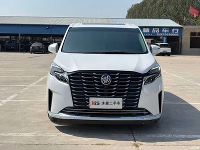 2023 Buick GL8 ES Landmaster Comfort, фото 2, лот 11183267