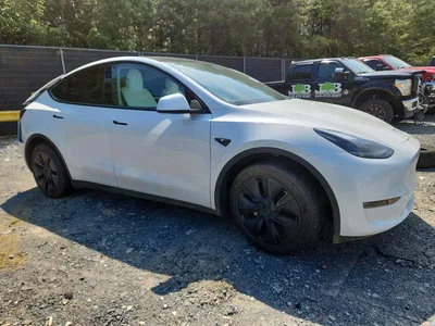 2024 TESLA MODEL Y, фото 4, лот 10676221