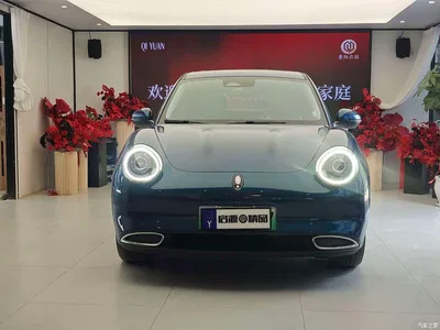 2022 Ora Good Cat Model Morandi Edition 400km Standard Range Premium LFP, фото 2, лот 11499378