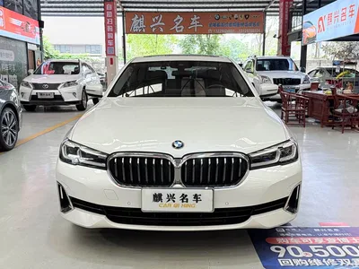 2021 BMW 5 Series 530Li Leading Luxury Package, фото 2, лот 10446000