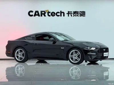 2019 Ford Mustang 5.0L V8 GT, фото 3, лот 10612139