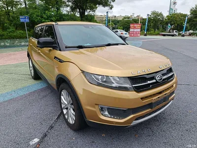 2015 Landwind X7 2.0T Panorama Premium, фото 3, лот 10445062