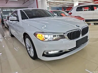 2018 BMW 5 Series Facelift 530Li Leading Luxury Package, фото 4, лот 10763900