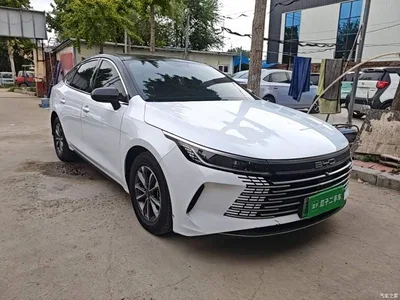 2023 BYD Destroyer 05 Champion Edition DM-i 55KM Luxury, фото 4, лот 10385468