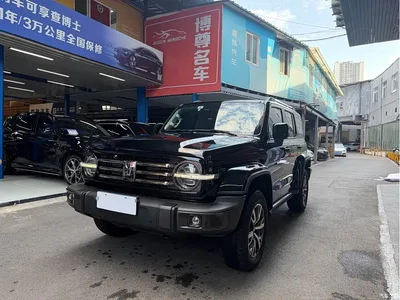 2023 Tank 300 Urban Edition 2.0T Very Stylish, фото 1, лот 10344348