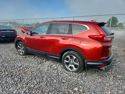 2019 HONDA CR-V EX, фото 2, лот 10996367