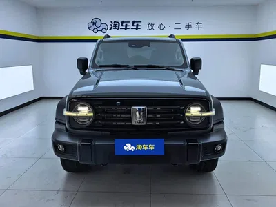 2021 Tank 300 Off-road Edition 2.0T Challenger, фото 2, лот 10481493
