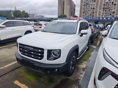 2022 Haval Big Dog 2.0T DCT AWD Chinese Pastoral Dog Edition, фото 1, лот 11492750