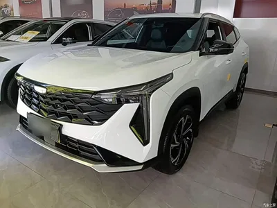 2024 Geely Boyue 1.5TD Soaring Dragon Edition, фото 1, лот 10437449