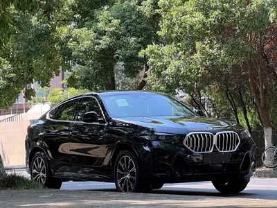 2023 BMW X6 xDrive30i M Sport Package, фото 2, лот 11067142