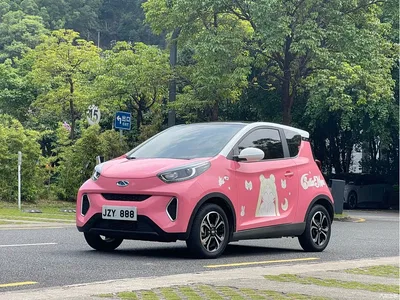 2021 QQ New Energy Little Ant 200K Fans Edition Talent Version (LFP Battery 301km), фото 1, лот 10823648