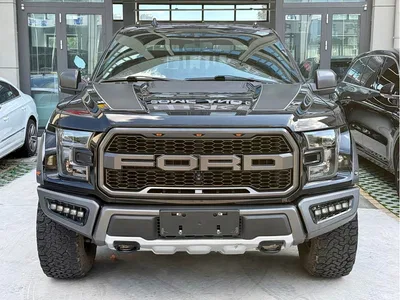 2019 Ford F-150 Raptor 3.5T Raptor Polar Blue Limited Edition, фото 1, лот 10296881