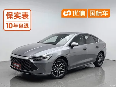 2021 BYD Qin PLUS DM-i 120KM Premium, фото 1, лот 10364423