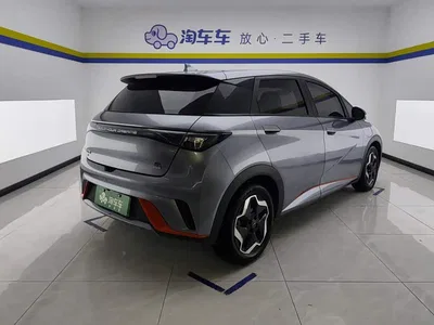 2021 BYD Dolphin Model 405km Fashion Edition, фото 3, лот 10247074