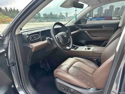 2023 Leapmotor C11 Pure Electric 500 Comfort Edition, фото 4, лот 10316851