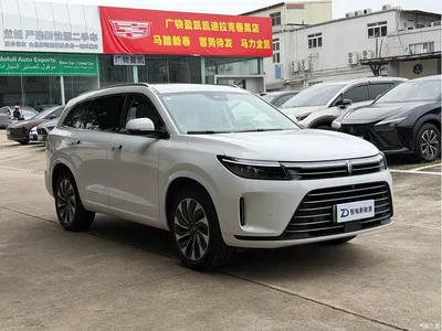 2022 AITO Wenjie AITO M7 1.5T AWD Luxury Edition, фото 3, лот 10684415