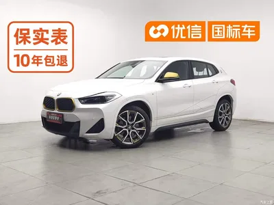 2023 BMW X2 sDrive 25i Radiance Edition, фото 1, лот 10391042