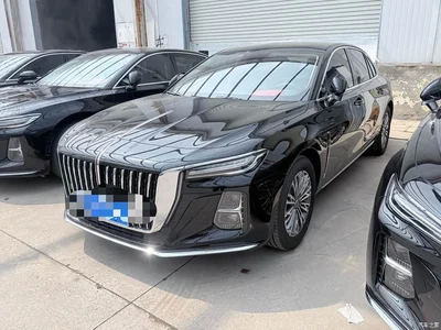 2025 Hongqi H5 2.0T Automatic Flag Celebration 500,000 Units Anniversary Edition, фото 1, лот 11082041