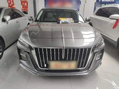 2023 Hongqi H5 2.0T Auto Smart Connect Flag Comfort, фото 3, лот 10289485