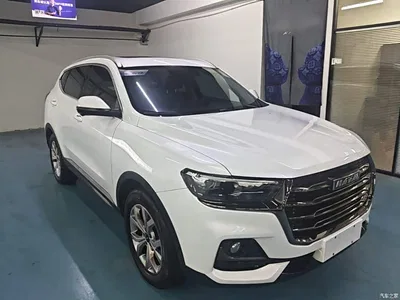 2021 Haval H6 Model National Trend Edition 1.5T Auto Champion, фото 4, лот 10386476