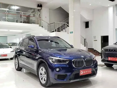 2016 BMW X1 sDrive18Li Premium Model, фото 3, лот 10466630