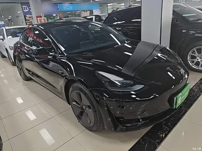 2022 Tesla Model 3 Model Rear-Wheel Drive Version, фото 4, лот 11218265