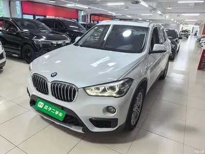 2019 BMW X1 sDrive20Li Leading Model, фото 1, лот 10768923