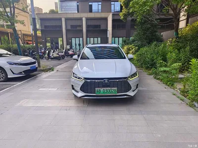 2019 BYD Qin Pro New Energy EV Super Edition Standard Smart Connect Leading Style, фото 2, лот 11205424