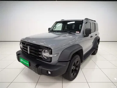 2021 Tank 300 Off-road Version 2.0T Conqueror, фото 1, лот 10345541