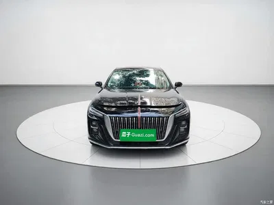 2023 Hongqi H5 2.0T Auto Smart Connect Flag Comfort, фото 2, лот 10286355
