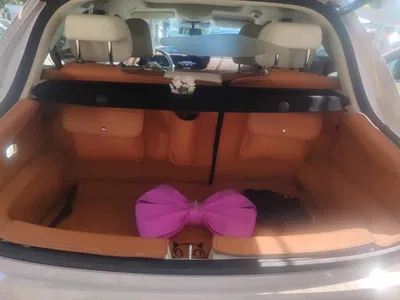 2024 Ora Good Cat 401km Honor 135kW, фото 4, лот 10285103