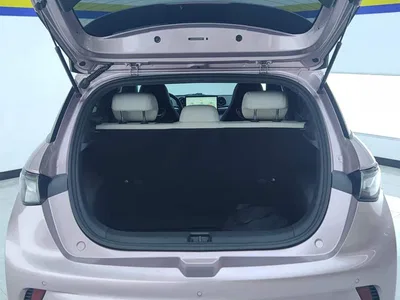 2021 BYD Dolphin Model 405km Fashion Edition, фото 4, лот 11201108