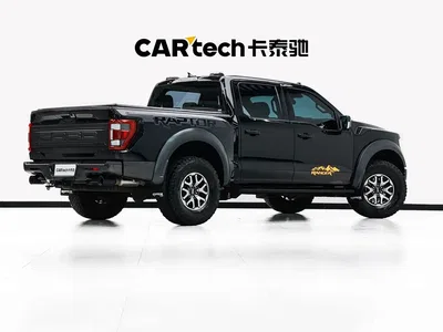 2023 Ford F-150 Raptor 3.5T Raptor, фото 4, лот 10293529